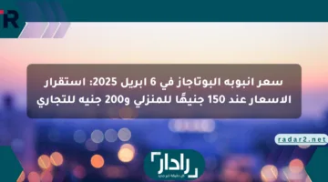 سعر أنبوبة البوتاجاز في 6 أبريل 2025: استقرار الأسعار عند 150 جنيهًا للمنزلي و200 جنيه للتجاري